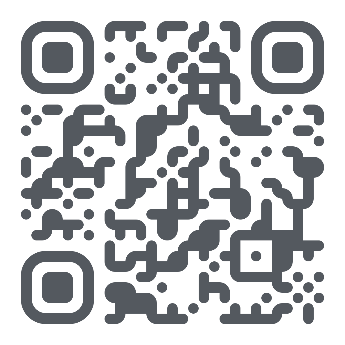 qr code ramis