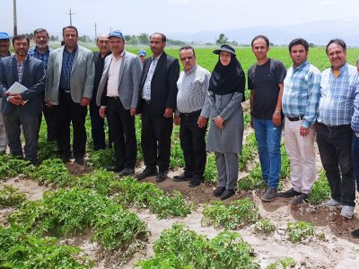دستگاه وجین کن - 400